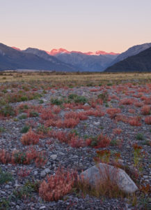 Waimakariri Valley, Arthur's Pass Nationalpark, Canterbury, Südinsel, Neuseeland, Ozeanien Waimakariri Valley, Arthur's Pass Nationalpark, Canterbury, Südinsel, Neuseeland, Ozeanien